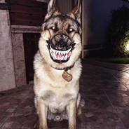 老师我家子涵没有涡轮