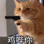跳出规则 别有洞天
