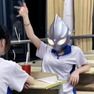 倒斗花园胡图图