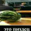 господин докумeнт