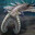 Anomalocaris
