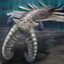 Anomalocaris
