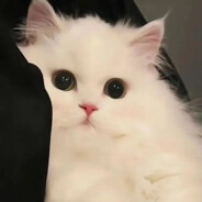 yuemiankk