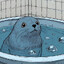BigSoapieBath