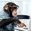 ape with a keyboard