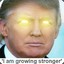 FussyPister