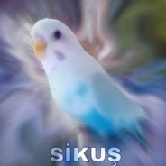 AvieS;E