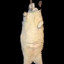 cat im a kitty cat