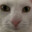 //Peppo//