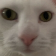 //Peppo//