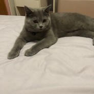 【重狙王者】歇斯底里