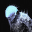 Zip's avatar
