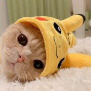 相逢何必曾相识󰀘