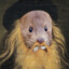Leonardo da minky