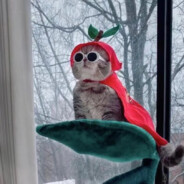 我是娘炮！！！！