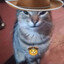 UMAGO SAFADO