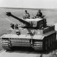 简科尔文·蛋壳