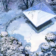 巴拉卡皮不巴拉