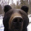 BigEZ