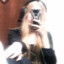 manya__416