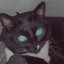 horny cat