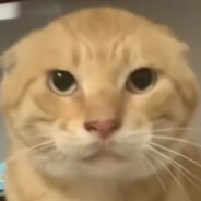 宝宝是只小脑斧