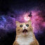 thespaceruller