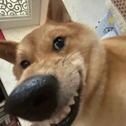 势不可挡的超载呆毛王