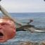 Brock {The Pterodactyl} Lesnar