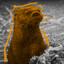Mr_Thorn