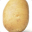 Potato