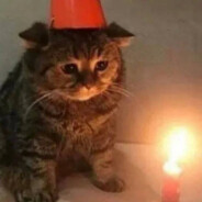 诶哟内叫一个地地地道