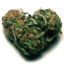 I LOVE MARIJUANA