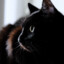 luette