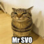 Mr. SVO