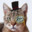 Sir Catman's avatar