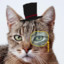 Sir Catman