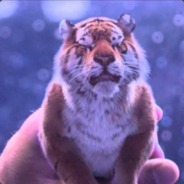 لم يفعل بوش شيئا خاطئا