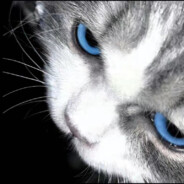 没关就是开了？