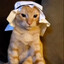 Abdul