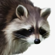 Raccoon