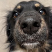 fred3r1c - steam id 76561198164295100