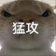 蜘蛛侦探