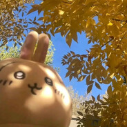 反手就是一狙哦