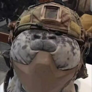 喜之狼爱吃玉米