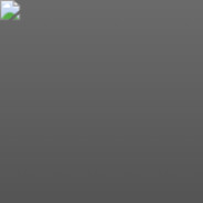 stupid green o ring