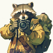 Mr.Raccoon