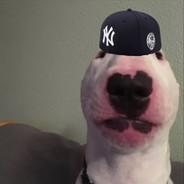 yankee with no brim
