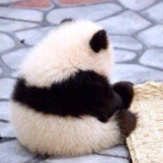 Ch4mploo - steam id 76561199050546824