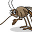 Mosquito com hiperfoco em viado